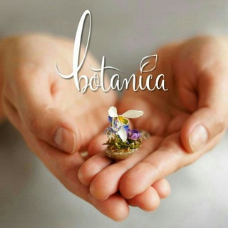 Botanica_style