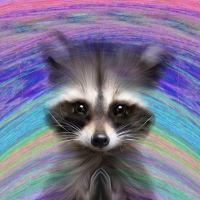 Digital Raccoon