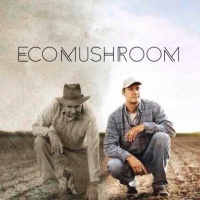 EcoMushRoom