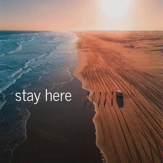 stay here