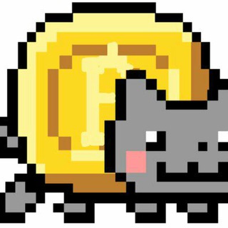 Bitcoin cat