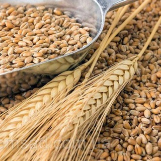 Агро Биржа UA