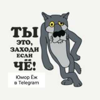 Юмор Ёж 