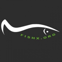 FishX.org - Рыбалка