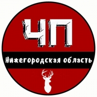 ЧП Нижегородская область