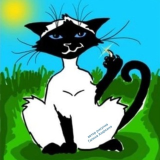 Купить тайского котенка