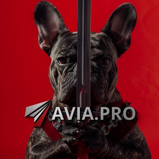 Avia.pro: Военное обозрение, СМИ