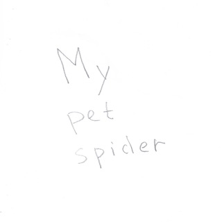 My pet spider