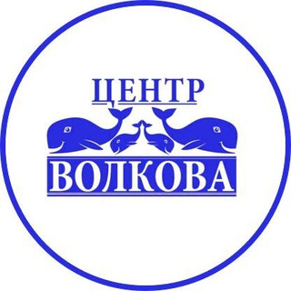 Центр Волкова