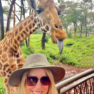 Не авторские туры 