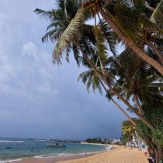 Градус Лета 