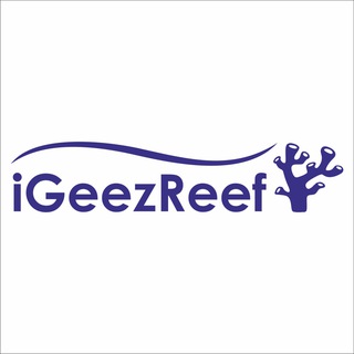 igeezcoral