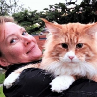 Мейн-кун мечты