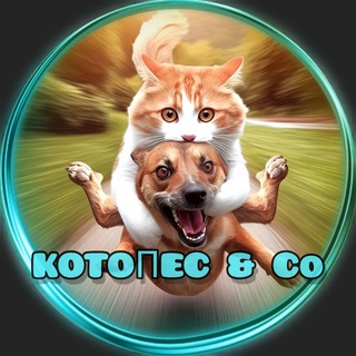КОТОПЁС & Со