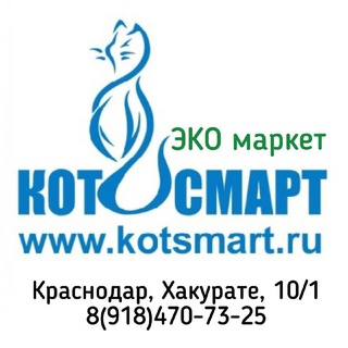 Белый кот Смарт 