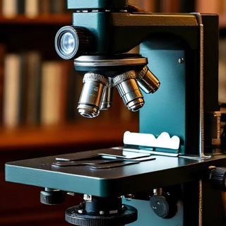 МикроМикс (мир под микроскопом)