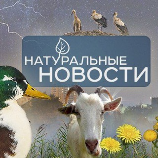 Натуральные новости