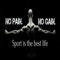 Sport Is The Best Life