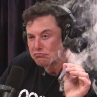 Elon Musk twitter