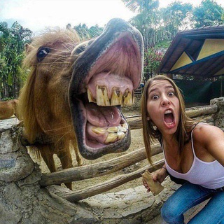 Привольное видео 