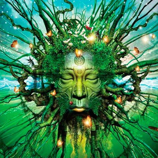 Психология/отношения/эзотерика 