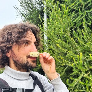 Сафронов пишет