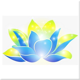 Сила лотоса клуб