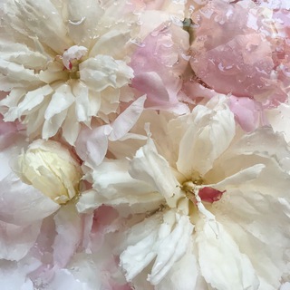 Секреты стильного визуала