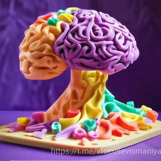 Фокус внимания 