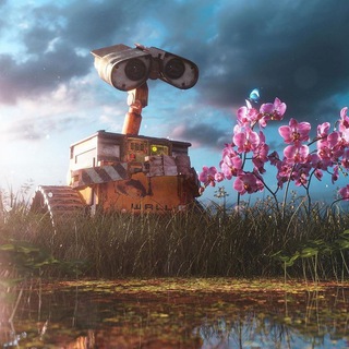 В моём дворе цветёт сакура