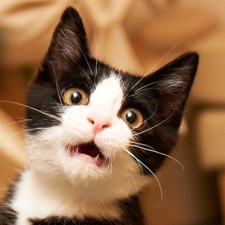 Обмен отзывами на всех площадках