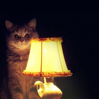 Истории из жизни