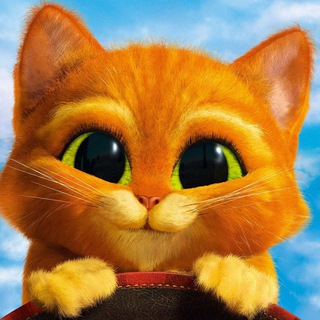 Смешные ЗверюгИ